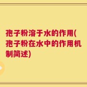 孢子粉溶于水的作用(孢子粉在水中的作用机制简述)