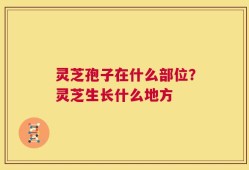 灵芝孢子在什么部位？灵芝生长什么地方