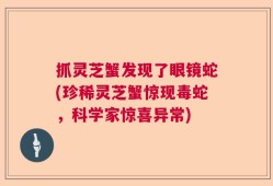 抓灵芝蟹发现了眼镜蛇(珍稀灵芝蟹惊现毒蛇，科学家惊喜异常)