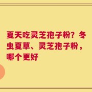 夏天吃灵芝孢子粉？冬虫夏草、灵芝孢子粉，哪个更好