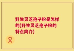 野生灵芝孢子粉是怎样的(野生灵芝孢子粉的特点简介)