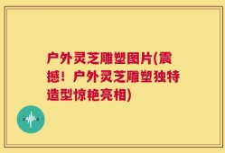 户外灵芝雕塑图片(震撼！户外灵芝雕塑独特造型惊艳亮相)