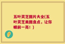 五叶灵芝图片大全(五叶灵芝美图盘点，让你眼前一亮！)