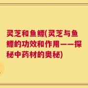 灵芝和鱼鳔(灵芝与鱼鳔的功效和作用——探秘中药材的奥秘)