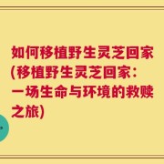 如何移植野生灵芝回家(移植野生灵芝回家：一场生命与环境的救赎之旅)