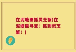 在泥塘里抓灵芝蟹(在泥塘里寻宝：抓到灵芝蟹！)