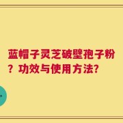 蓝帽子灵芝破壁孢子粉？功效与使用方法？
