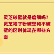 灵芝破壁就是磨细吗？灵芝袍子粉破壁和不破壁的区别体现在哪些方面