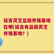 延吉灵芝盆栽养殖基地在哪(延吉有盆栽灵芝养殖基地？)