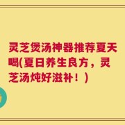 灵芝煲汤神器推荐夏天喝(夏日养生良方，灵芝汤炖好滋补！)
