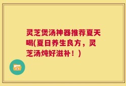 灵芝煲汤神器推荐夏天喝(夏日养生良方，灵芝汤炖好滋补！)
