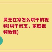 灵芝在家怎么烘干的视频(烘干灵芝，家庭视频教程)