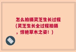 怎么拍摄灵芝生长过程(灵芝生长全过程拍摄，惊艳草木之姿！)