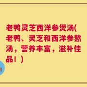 老鸭灵芝西洋参煲汤(老鸭、灵芝和西洋参熬汤，营养丰富，滋补佳品！)