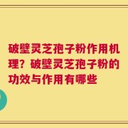 破壁灵芝孢子粉作用机理？破壁灵芝孢子粉的功效与作用有哪些