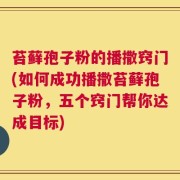 苔藓孢子粉的播撒窍门(如何成功播撒苔藓孢子粉，五个窍门帮你达成目标)
