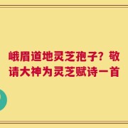 峨眉道地灵芝孢子？敬请大神为灵芝赋诗一首