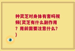 种灵芝对身体有害吗视频(灵芝有什么副作用？用前需要注意什么？)
