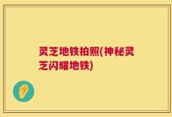 灵芝地铁拍照(神秘灵芝闪耀地铁)