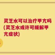 灵芝水可以治疗甲亢吗(灵芝水或许可缓解甲亢症状)