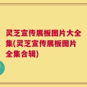 灵芝宣传展板图片大全集(灵芝宣传展板图片全集合辑)