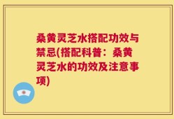 桑黄灵芝水搭配功效与禁忌(搭配科普：桑黄灵芝水的功效及注意事项)