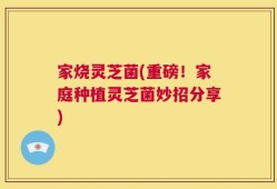 家烧灵芝菌(重磅！家庭种植灵芝菌妙招分享)