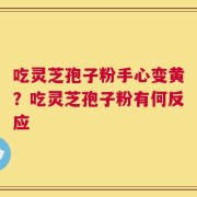 吃灵芝孢子粉手心变黄？吃灵芝孢子粉有何反应