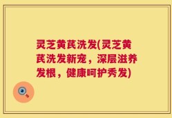 灵芝黄芪洗发(灵芝黄芪洗发新宠，深层滋养发根，健康呵护秀发)