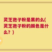 灵芝孢子粉是黑的么(灵芝孢子粉的颜色是什么？)