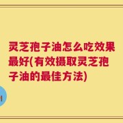 灵芝孢子油怎么吃效果最好(有效摄取灵芝孢子油的最佳方法)