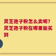 灵芝孢子粉怎么卖呢？灵芝孢子粉在哪里能买到
