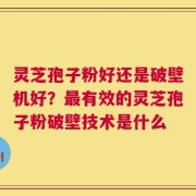 灵芝孢子粉好还是破壁机好？最有效的灵芝孢子粉破壁技术是什么