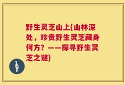 野生灵芝山上(山林深处，珍贵野生灵芝藏身何方？——探寻野生灵芝之谜)
