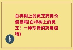 白桦树上的灵芝药用价值高吗(白桦树上的灵芝：一种珍贵的药用植物)