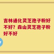 吉林通化灵芝孢子粉好不好？森山灵芝孢子粉好不好