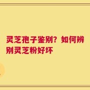灵芝孢子鉴别？如何辨别灵芝粉好坏