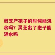 灵芝产孢子的时候能浇水吗？灵芝出了孢子能浇水吗