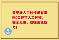 灵芝能人工种植吗有毒吗(灵芝可人工种植，安全无毒，助提高免疫力)
