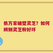 依万家破壁灵芝？如何辨别灵芝粉好坏