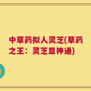 中草药拟人灵芝(草药之王：灵芝显神通)