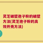 灵芝破壁孢子粉的破壁方法(灵芝孢子粉的高效开壳方法)
