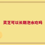 灵芝可以长期泡水吃吗