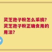 灵芝孢子粉怎么采摘？灵芝孢子粉正确食用的用法？