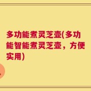 多功能煮灵芝壶(多功能智能煮灵芝壶，方便实用)