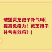 破壁灵芝孢子补气吗(提高免疫力！灵芝孢子补气有效吗？)