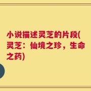 小说描述灵芝的片段(灵芝：仙境之珍，生命之药)