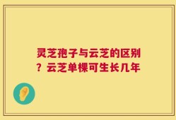 灵芝孢子与云芝的区别？云芝单棵可生长几年