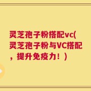 灵芝孢子粉搭配vc(灵芝孢子粉与VC搭配，提升免疫力！)