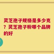 灵芝孢子规格是多少克？灵芝孢子粉哪个品牌的好